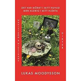 Det var mörkt i mitt huvud men aldrig i mitt hjärta