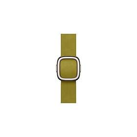 Apple 42mm Modern Buckle