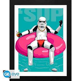 Original STORMTROOPER Framed print "Pool Boy" (30x40) x2