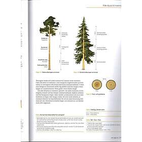 Trä : virkeskvalitet förr och nu