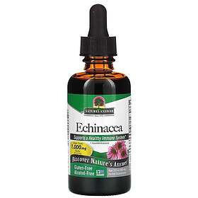 Nature's Answer Echinacea Root, 60ml