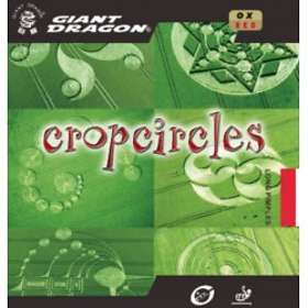 Giant Dragon Cropcircles