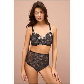 PrimaDonna Livonia Special Briefs