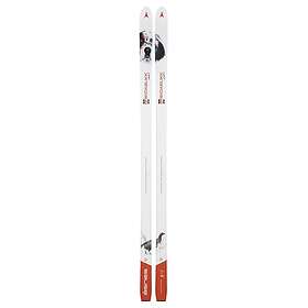 Asnes BC Skis Breidablikk Hunter Waxless 