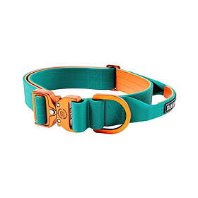 Orange BullyBillows Combat Hundhalsband med Handtag Turkos & 4 cm (S)