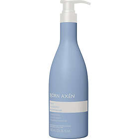 Björn Axén Repair Hair Routine Set