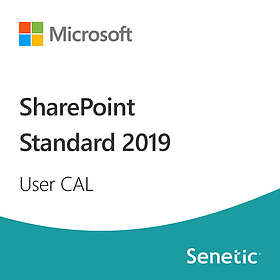 Microsoft SharePoint Standard 2019 User CAL