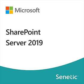 Microsoft SharePoint Server 2019