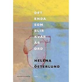 Det enda som blir kvar är ord