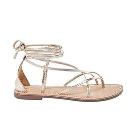 Les Tropéziennes Par M Belarbi Djoya (Dam)