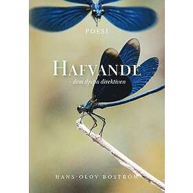 Hafvande dom djupa direktiven