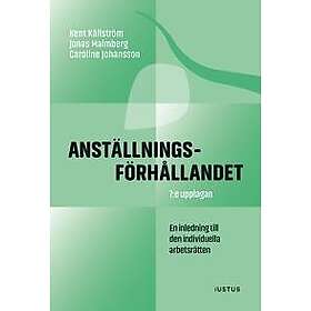 Anställningsförhållandet : inledning till den individuella arbetsrätten