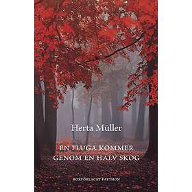 En fluga kommer genom en halv skog