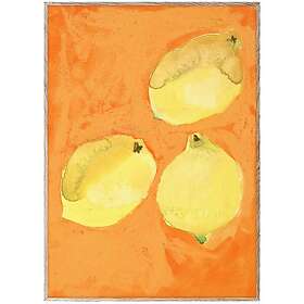 Paper Collective Lemons Poster 50x70 cm