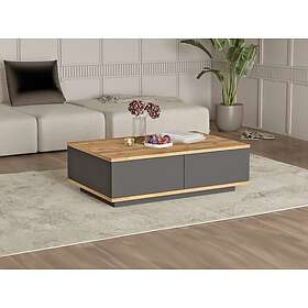 Vente Unique Table basse avec 2 portes Naturel et Anthracite LOTULA