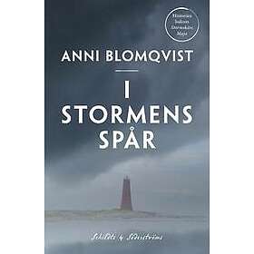 I stormens spår