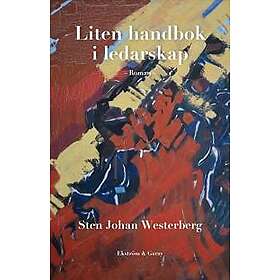 Liten handbok i ledarskap : en roman
