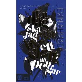 En dag skal jag bygga et slott av pengar