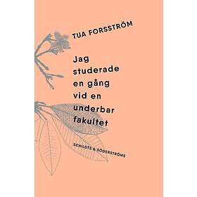 Jag studerade en gång vid en underbar fakultet