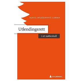 Utlendingsrett i et nøtteskall