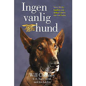 Ingen vanlig hund