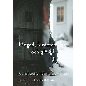 Fångad, fördömd, fast och glömd : Fyra skräcknoveller...och början på en ny