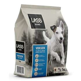 Labb Voksen små hunder 1kg