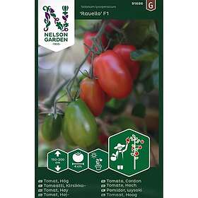 Nelson Garden Frø cocktailtomat høy Ravello