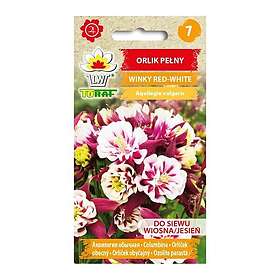 Toraf Frö till akleja Winky Red White – Fyllda blommor i rött och vitt