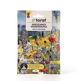 Toraf Frö till vildblommor Mix för blöta områden – Nektarrik äng för fuktiga marker