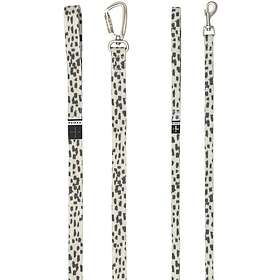 PAIKKA Glow Leash 2,0 (2,5x180cm)