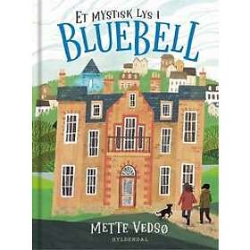 Et mystisk lys i Bluebell