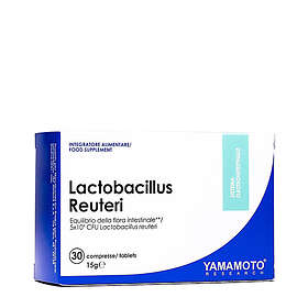 Yamamoto Nutrition Lactobacillus Reuteri