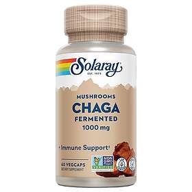 Solaray Chaga Fermented 1000mg Immunitet 60 Capsules