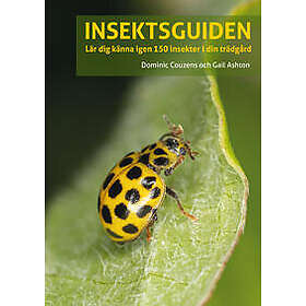 Insektsguiden : Lär dig känna igen 150 insekter i din trädgård