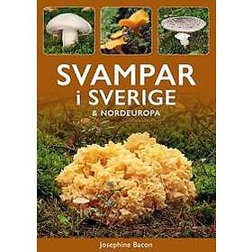 Svampar i Sverige & Nordeuropa