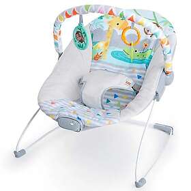 Bright Starts Safari Fun 