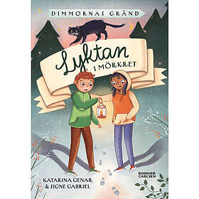 Lyktan i mörkret (inbunden)