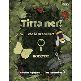Titta ner! Vad är det du ser? : Insekter!