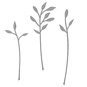 Leaf Spellbinder Dies Etched Spellbinders Sealed Sprigs 3 dies