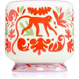 Paddywax A Dopo Jungle Bougie parfumée 226g