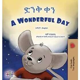 A Wonderful Day (Amharic English Bilingual Children's Book)