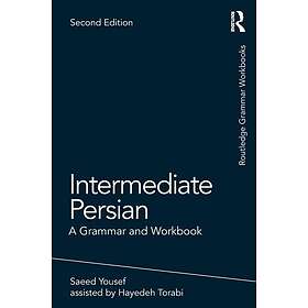 Intermediate Persian A Grammar and Workbook