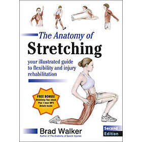 The Anatomy of Stretching