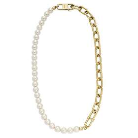 Fossil Heritage JF04727710