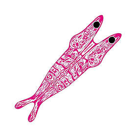 Pro Sportfisher Pro Shrimp Shell Skeletor Pink On Clear Base M