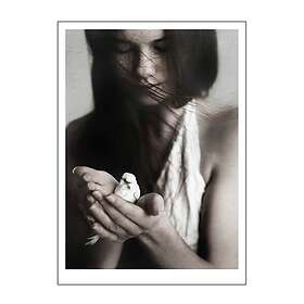 Studio Poster & Frame Ingrey poster 50x70 cm girl & bird