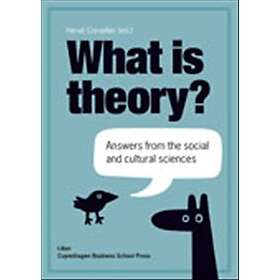 What is theory? : answers from the