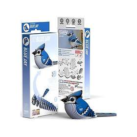 Eugy Eugy Blue Jay
