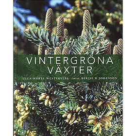 Ica Bokförlag Vintergröna växter (inbunden)